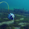 Камера  для дистанционной подводной съемки: эхолот, дайвинг камера. - $_575e.JPG